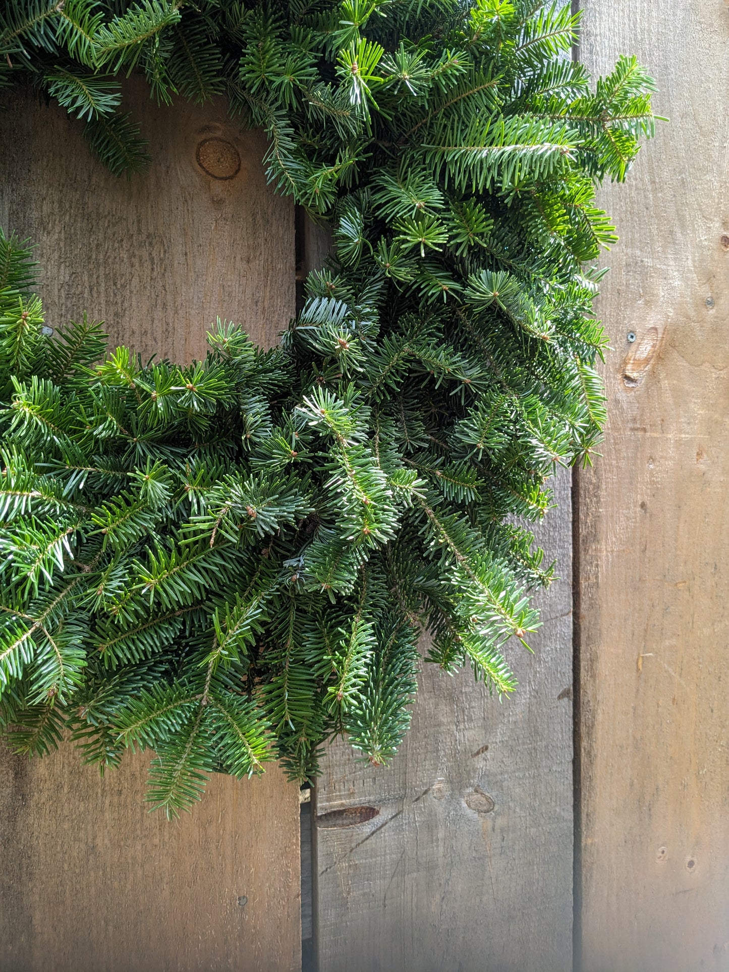 Forever Fir Wreath