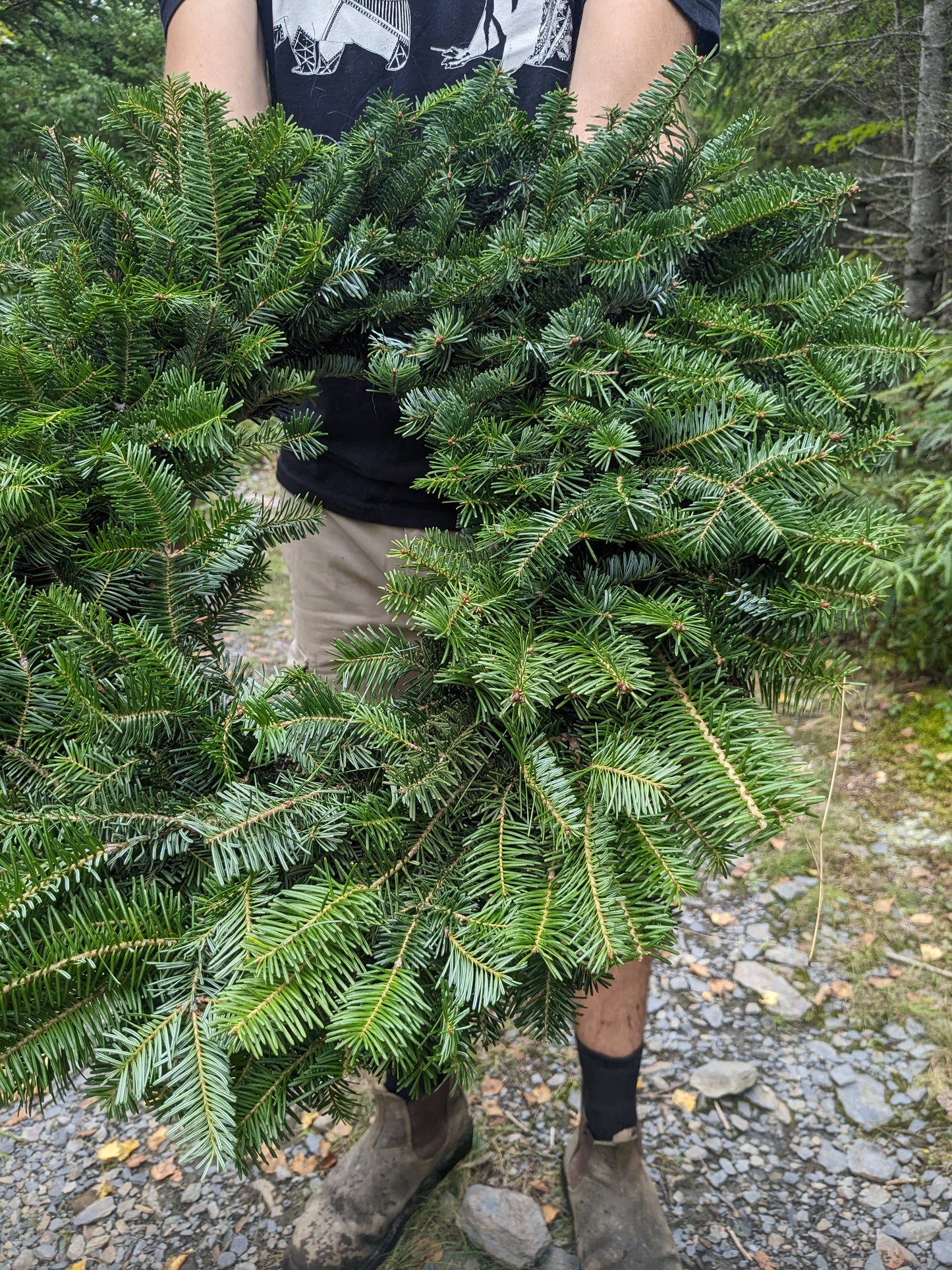 Forever Fir Wreath
