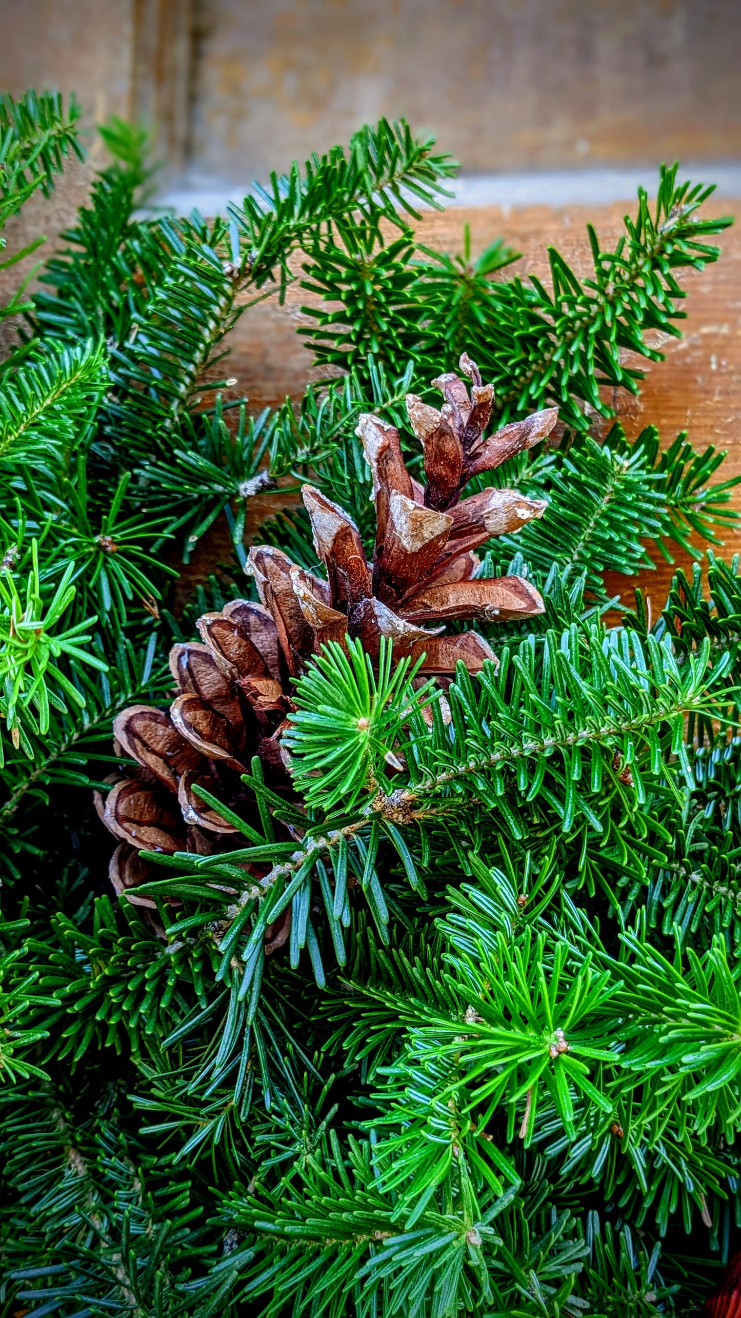 Forever Fir Wreath