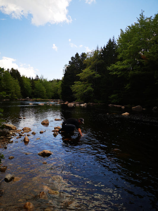 Chapter 4: Finding Crown Land in Nova Scotia