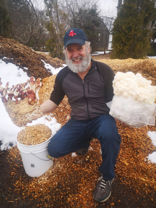 Chapter 21: Malagash Mushroom Making Magic